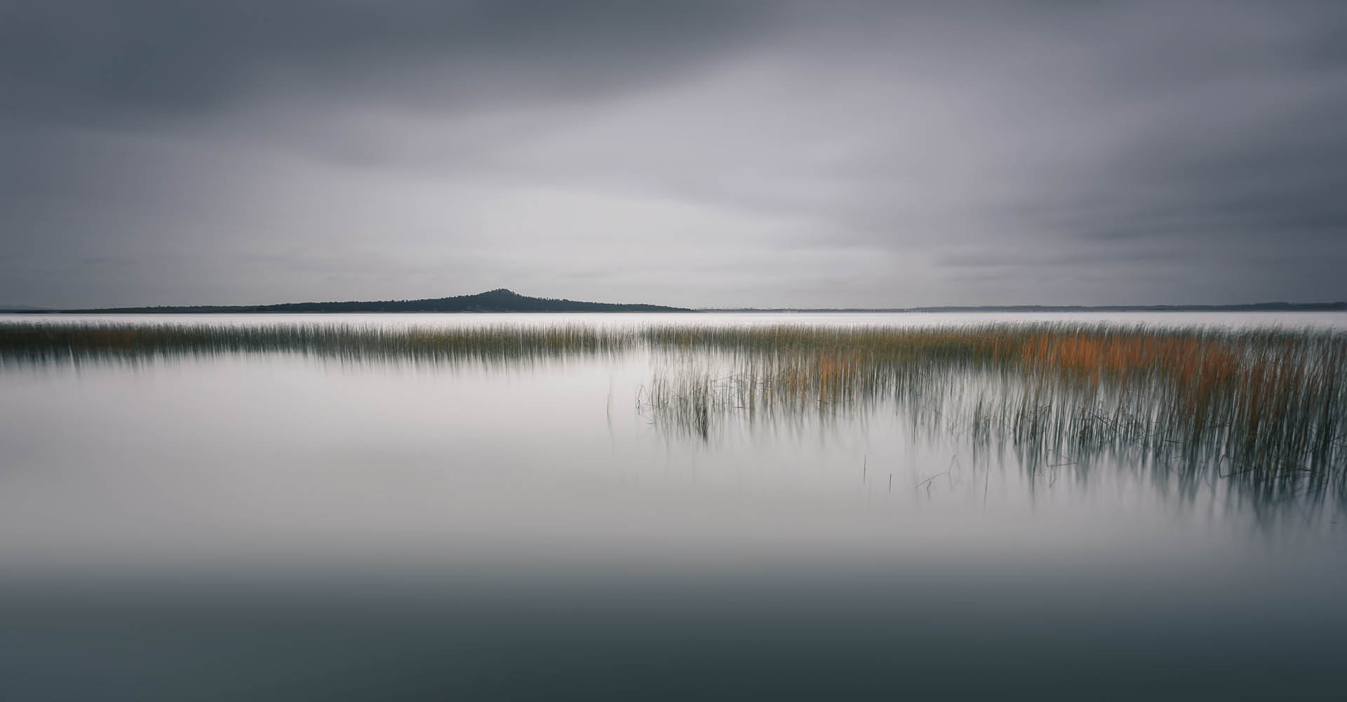 Immagine di una palude , con un cielo molto grigio